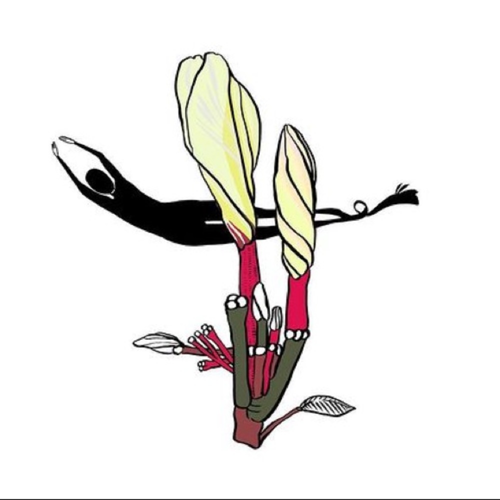 Meet your Posher, Kai